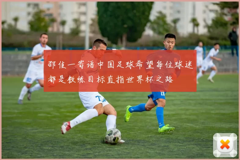 邵佳一寄语中国足球希望每位球迷都是教练目标直指世界杯之路
